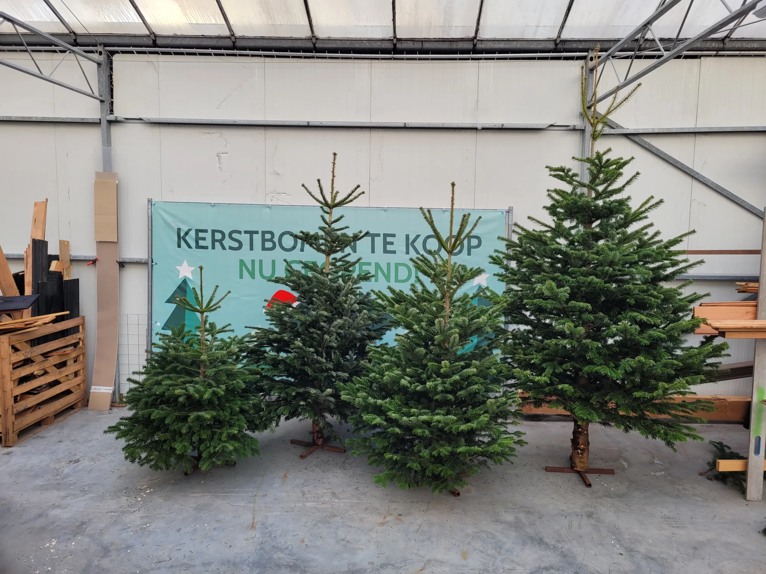 Kerstbomen koop je bij Langstraat