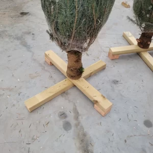 Kerstboom kruis